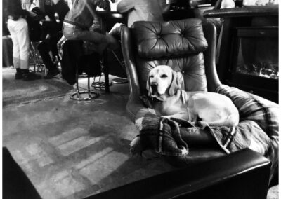 Dog in Prague